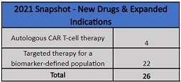 2021 drug approvals snapshot