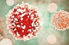 Cancer cell