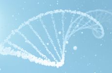 Light blue and white concept 3D Illustration of transparent DNA helix