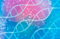 DNA double helix on grid