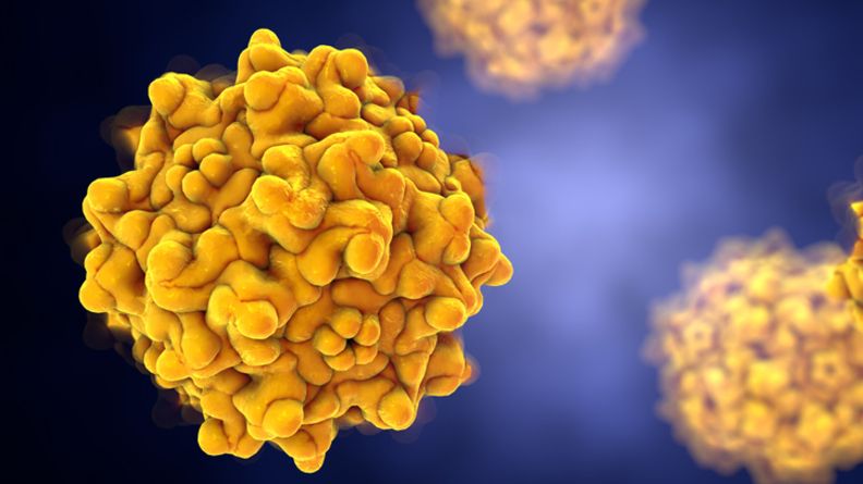 Illustration of an adeno-associated virus