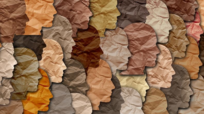 diversity