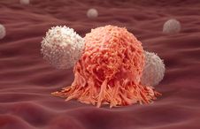 T cells attacking a cancer cell