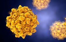 Illustration of an adeno-associated virus
